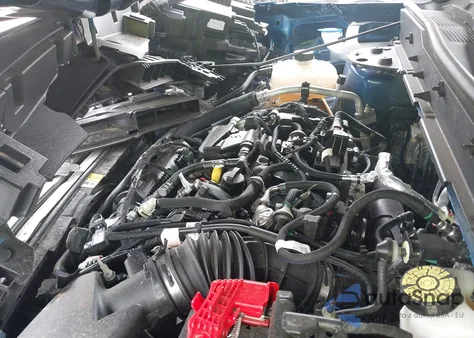 2023 Ford Bronco Sport Big Bend from USA, damaged, VIN 3FMCR9B62PRD70686